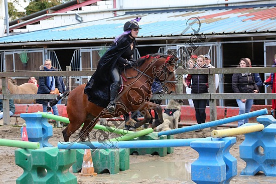 C29A2321.jpg 22 Octobre 2023 : Ecurie du Val, Hautot sur Mer - Equifun Club & Poney 