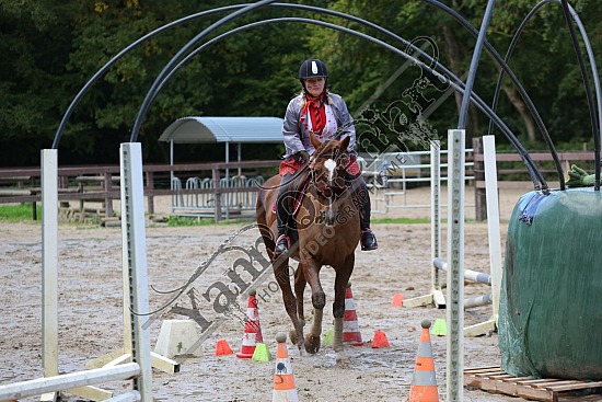 C29A2309.jpg 22 Octobre 2023 : Ecurie du Val, Hautot sur Mer - Equifun Club & Poney 