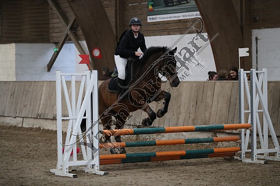 A51I2400.jpg 11 Février 2024 : Chevalerie de la Bretèque - CSO Club, Poney & Préparatoire 