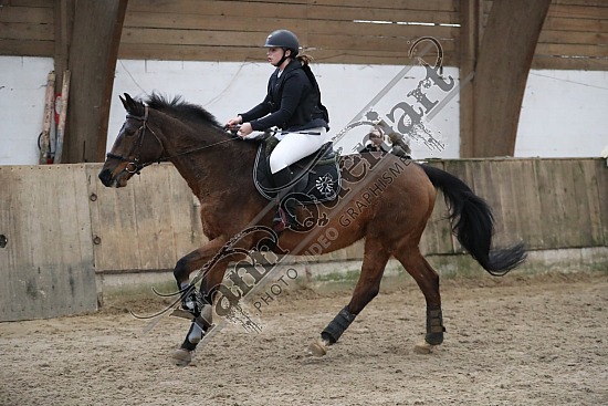 A51I2393.jpg 11 Février 2024 : Chevalerie de la Bretèque - CSO Club, Poney & Préparatoire 