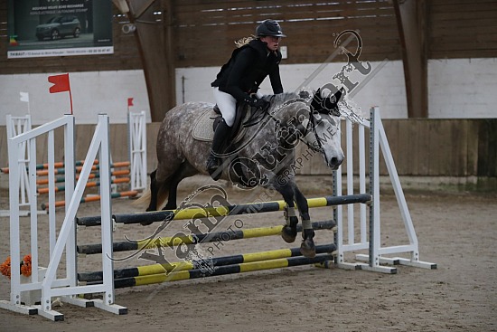 A51I2658.jpg 11 Février 2024 : Chevalerie de la Bretèque - CSO Club, Poney & Préparatoire 