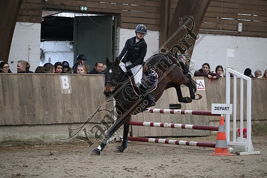 A51I2857.jpg 11 Février 2024 : Chevalerie de la Bretèque - CSO Club, Poney & Préparatoire 