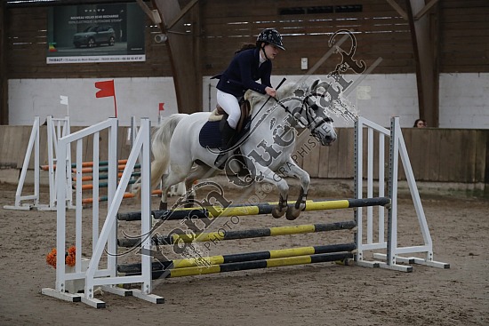 A51I2843.jpg 11 Février 2024 : Chevalerie de la Bretèque - CSO Club, Poney & Préparatoire 