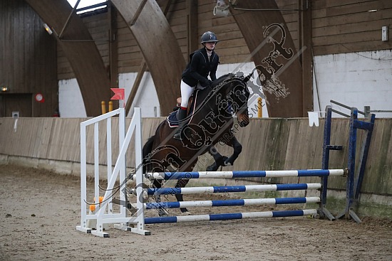 A51I2858.jpg 11 Février 2024 : Chevalerie de la Bretèque - CSO Club, Poney & Préparatoire 