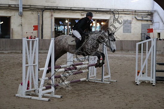 A51I2645.jpg 11 Février 2024 : Chevalerie de la Bretèque - CSO Club, Poney & Préparatoire 