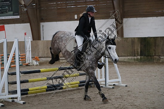 A51I2659.jpg 11 Février 2024 : Chevalerie de la Bretèque - CSO Club, Poney & Préparatoire 