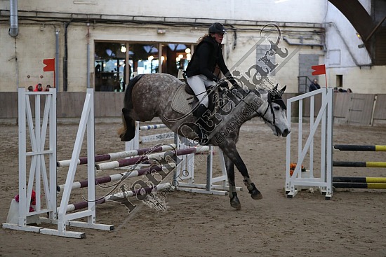 A51I2646.jpg 11 Février 2024 : Chevalerie de la Bretèque - CSO Club, Poney & Préparatoire 