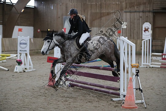A51I2641.jpg 11 Février 2024 : Chevalerie de la Bretèque - CSO Club, Poney & Préparatoire 