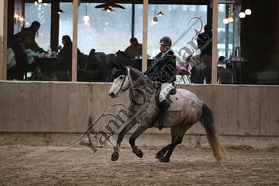 A51I2643.jpg 11 Février 2024 : Chevalerie de la Bretèque - CSO Club, Poney & Préparatoire 