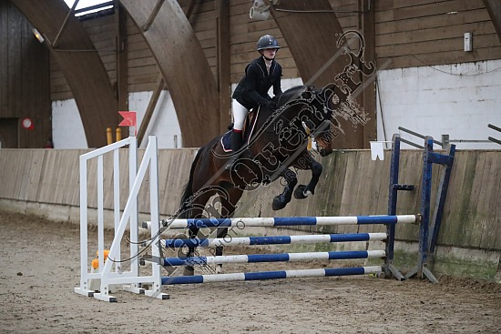 A51I2859.jpg 11 Février 2024 : Chevalerie de la Bretèque - CSO Club, Poney & Préparatoire 