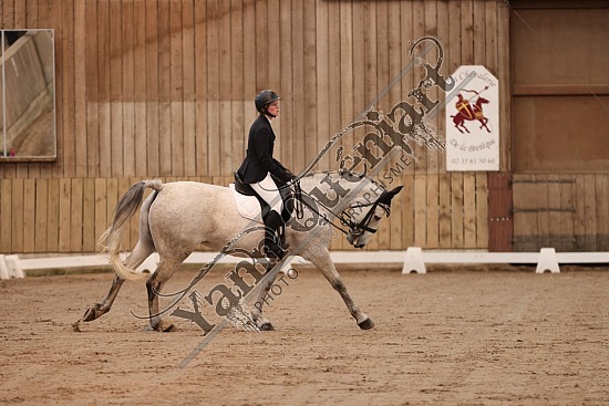 3K2A5854.jpg 7 Avril 2024 : Chevalerie de la Bretèque - Dressage ,DUVIVIER Lucie,Espridara
