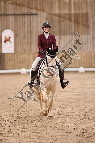 3K2A7176.jpg 7 Avril 2024 : Chevalerie de la Bretèque - Dressage ,BENARD Justine,Galika