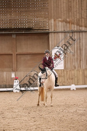 3K2A7171.jpg 7 Avril 2024 : Chevalerie de la Bretèque - Dressage ,BENARD Justine,Galika