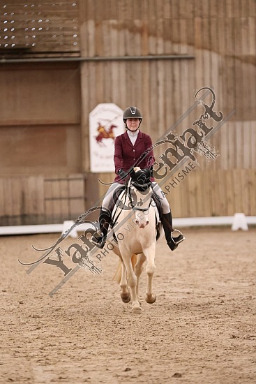 3K2A7172.jpg 7 Avril 2024 : Chevalerie de la Bretèque - Dressage ,BENARD Justine,Galika