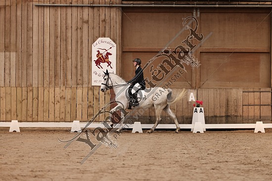 3K2A5863.jpg 7 Avril 2024 : Chevalerie de la Bretèque - Dressage ,DUVIVIER Lucie,Espridara