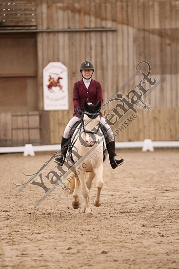 3K2A7174.jpg 7 Avril 2024 : Chevalerie de la Bretèque - Dressage ,BENARD Justine,Galika