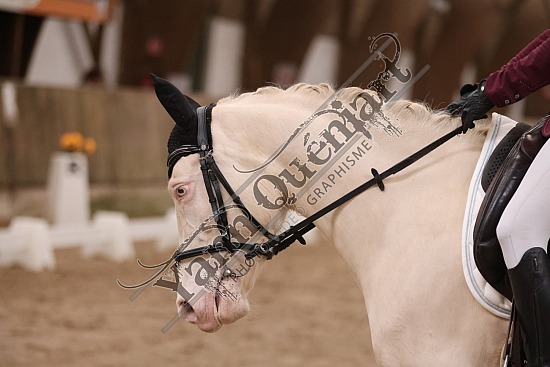 3K2A7164.jpg 7 Avril 2024 : Chevalerie de la Bretèque - Dressage ,BENARD Justine,Galika