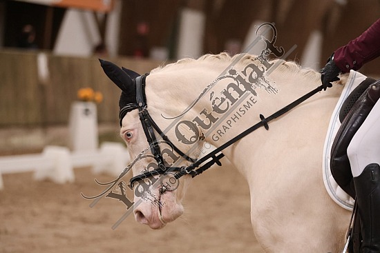 3K2A7165.jpg 7 Avril 2024 : Chevalerie de la Bretèque - Dressage ,BENARD Justine,Galika