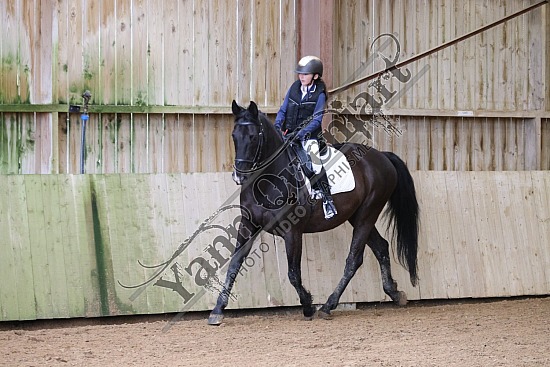 3K2A5447.jpg 28 Avril 2024 : Centre équestre de la Scie - Dressage 