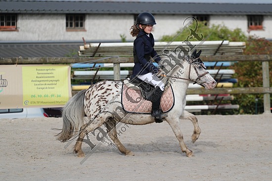 A51I4873.jpg 26 Mai 2024 : Centre équestre des Pommerolles - CSO Club, Poney & Préparatoire 