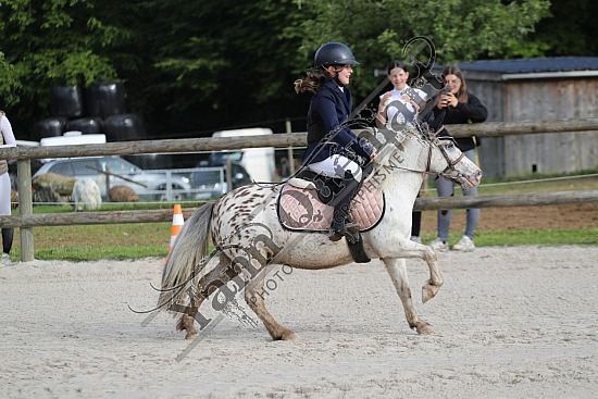 A51I4886.jpg 26 Mai 2024 : Centre équestre des Pommerolles - CSO Club, Poney & Préparatoire 