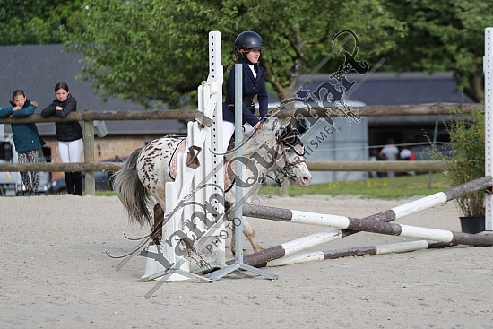 A51I4882.jpg 26 Mai 2024 : Centre équestre des Pommerolles - CSO Club, Poney & Préparatoire 