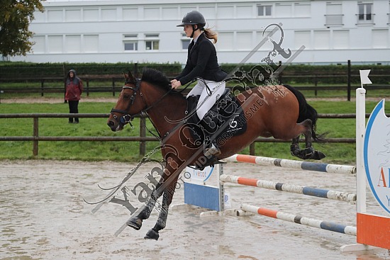 A51I6047.jpg 20 Octobre 2024 :  CFA d'Yvetot - CSO Club, Poney & Préparatoire 