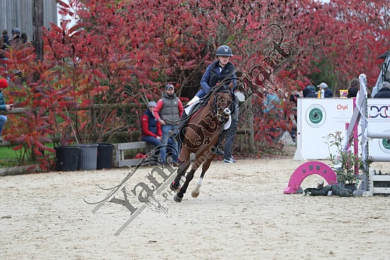 A51I4373.jpg 3 Novembre 2024 : Ecuries de Saint Paër - CSO Club, Poney & Préparatoire 