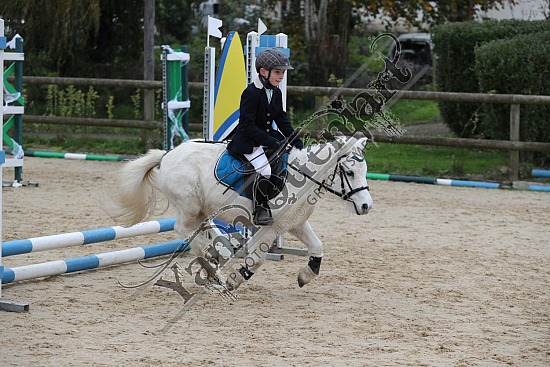 A51I5502.jpg 3 Novembre 2024 : Ecuries de Saint Paër - CSO Club, Poney & Préparatoire 