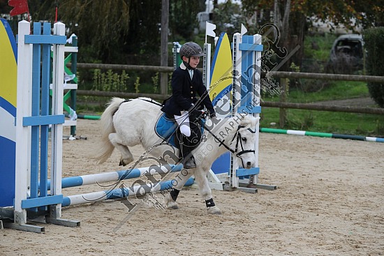 A51I5501.jpg 3 Novembre 2024 : Ecuries de Saint Paër - CSO Club, Poney & Préparatoire 