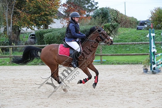 A51I4371.jpg 3 Novembre 2024 : Ecuries de Saint Paër - CSO Club, Poney & Préparatoire 