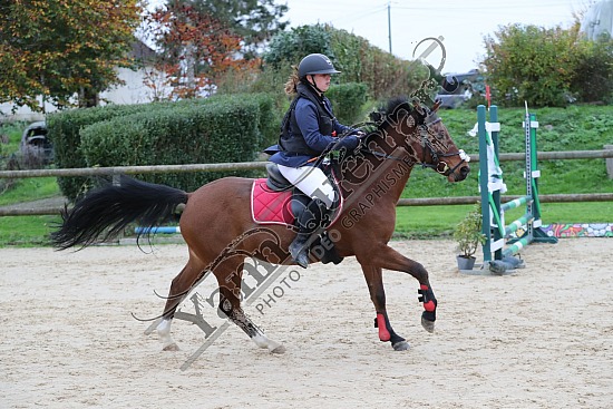 A51I4372.jpg 3 Novembre 2024 : Ecuries de Saint Paër - CSO Club, Poney & Préparatoire 