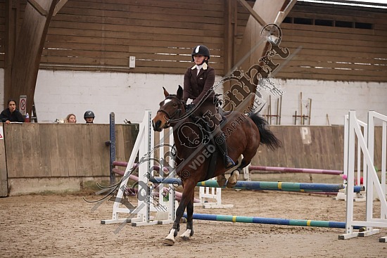 3K2A1996.jpg 10 Novembre 2024 : Chevalerie de la Bretèque - Hunter & Equifun 