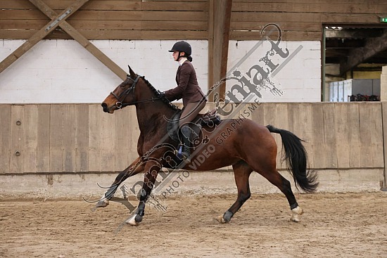 3K2A1987.jpg 10 Novembre 2024 : Chevalerie de la Bretèque - Hunter & Equifun 