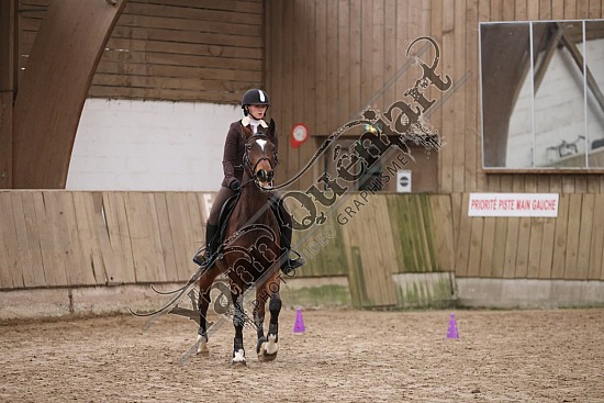 3K2A1991.jpg 10 Novembre 2024 : Chevalerie de la Bretèque - Hunter & Equifun 