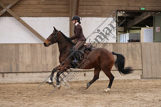 3K2A1986.jpg 10 Novembre 2024 : Chevalerie de la Bretèque - Hunter & Equifun 