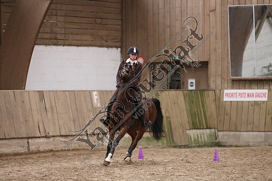 3K2A1989.jpg 10 Novembre 2024 : Chevalerie de la Bretèque - Hunter & Equifun 
