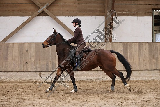 3K2A1988.jpg 10 Novembre 2024 : Chevalerie de la Bretèque - Hunter & Equifun 