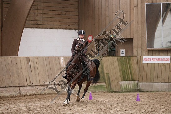 3K2A1990.jpg 10 Novembre 2024 : Chevalerie de la Bretèque - Hunter & Equifun 