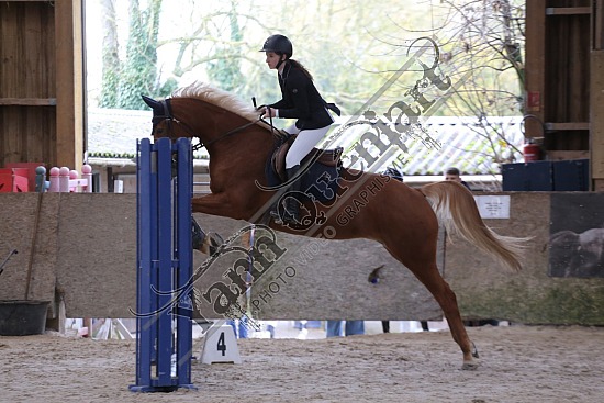 AS7V8990.jpg 17 Novembre 2024 : Ecuries Lefebvre - CSO Club, Poney & Préparatoire 