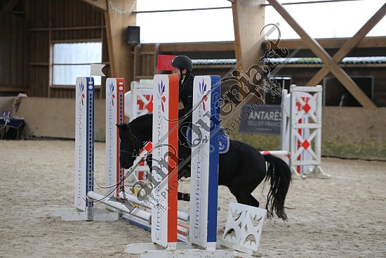 AS7V8538.jpg 17 Novembre 2024 : Ecuries Lefebvre - CSO Club, Poney & Préparatoire 