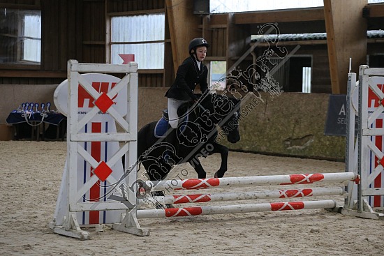 AS7V8542.jpg 17 Novembre 2024 : Ecuries Lefebvre - CSO Club, Poney & Préparatoire 