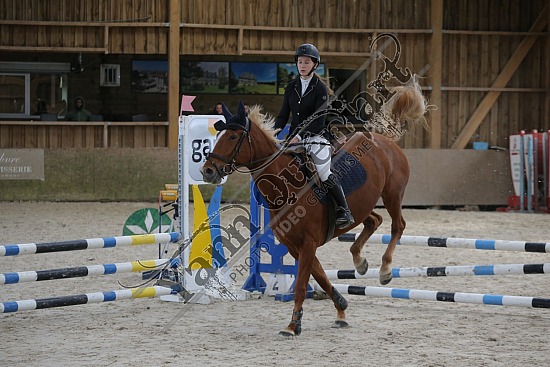 AS7V8989.jpg 17 Novembre 2024 : Ecuries Lefebvre - CSO Club, Poney & Préparatoire 