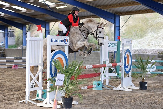 17 Novembre 2024 : Centre équestre le cheval bleu - CSO Club, Poney & Préparatoire