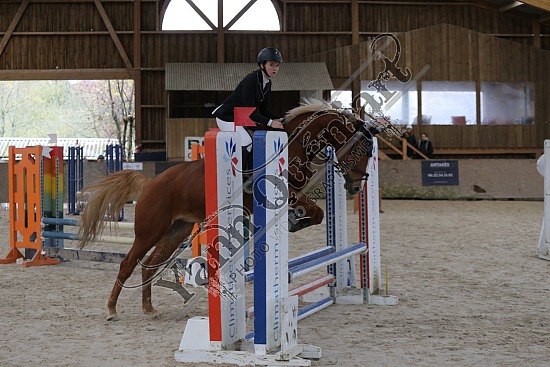 AS7V9001.jpg 17 Novembre 2024 : Ecuries Lefebvre - CSO Club, Poney & Préparatoire 