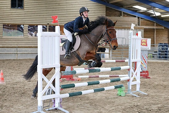 19 Janvier 2025 : Centre équestre le cheval bleu - CSO Club, Poney & Préparatoire
