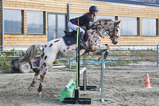 16 Février 2025 : Centre équestre le cheval bleu - CSO Club, Poney & Préparatoire