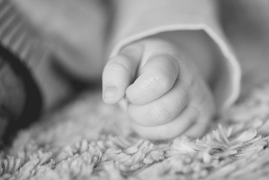 22 Février 2025 : Séance bébé