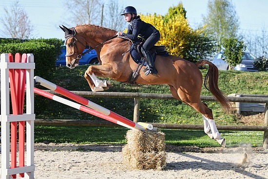 6 Avril 2025 : Ecuries de Saint Paër - CSO Club Poney & Préparatoire et Hunter