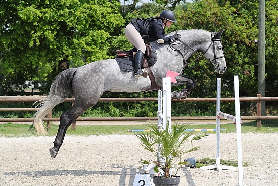 25-26-27 Avril 2025 : Parc équestre des Sablons, Val de Reuil - CSO Amateur, Pro & Préparatoire